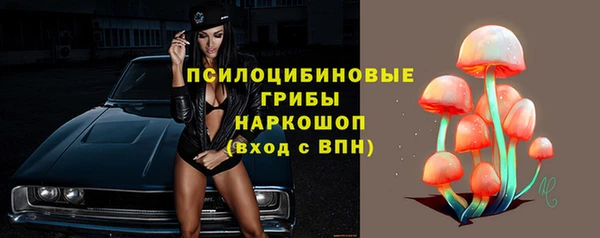 твердый Корсаков
