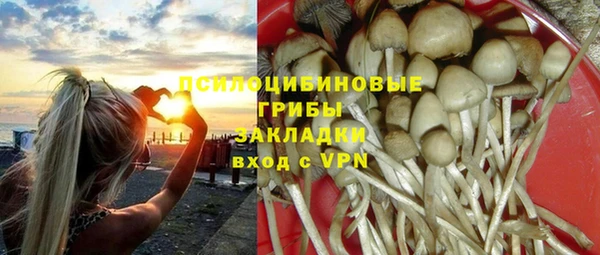 твердый Корсаков