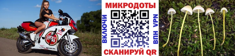 Купить где  Моздок  Псилоцибиновые грибы Psilocybe 